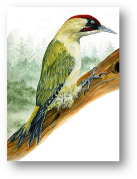 agnes-maloine-tableau-2